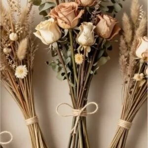 Ramo Seco Vino Beige