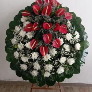 Alba eterna