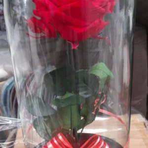 Rosa eterna en cristal