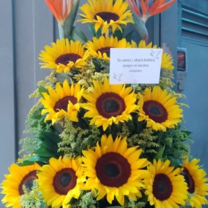 Triángulo de girasoles imperial