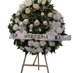 Legado de paz