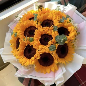 Ramo de 12 Girasoles con Eucalipto – Envoltura Blanca (bouquet girasoles)