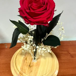 Rosa Eterna Preservada Roja en Cúpula de Cristal (rosas preservadas)