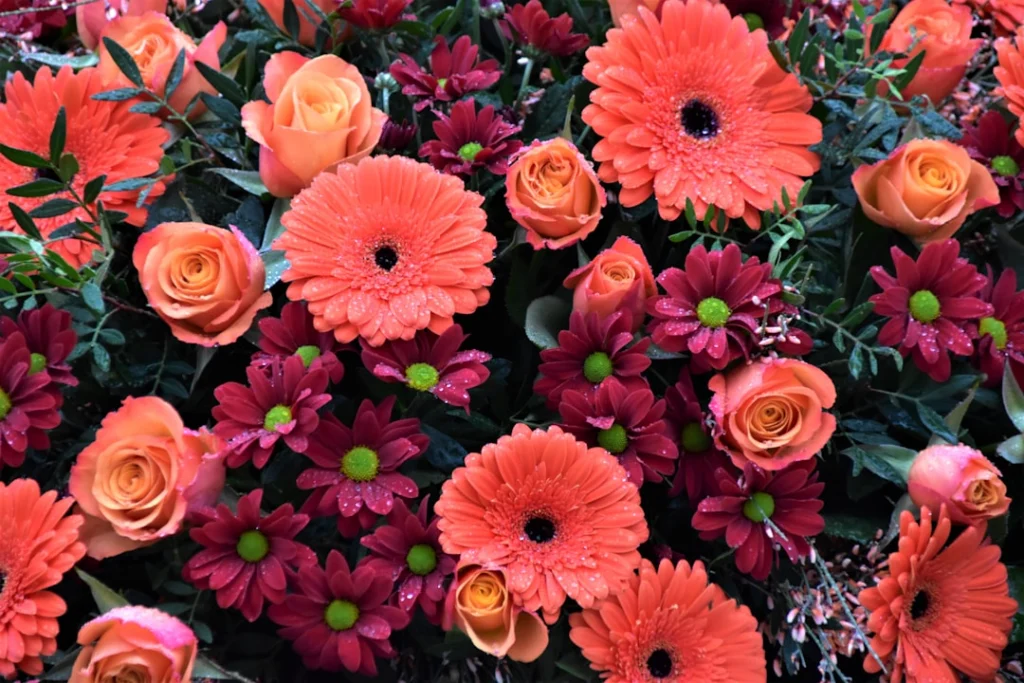 Guía completa para regalar flores según la ocasión con arreglos florales diversos para cumpleaños, aniversarios y celebraciones especiales